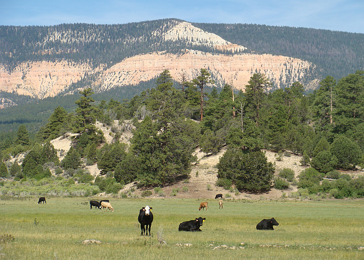 Grand Staircase-Escalante