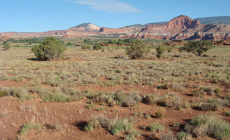 Capitol Reef National Park