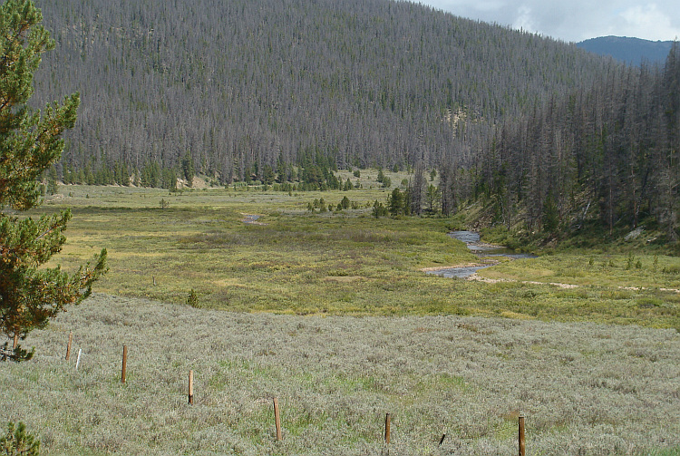 Arapaho National Forest tussen Granby en Rand