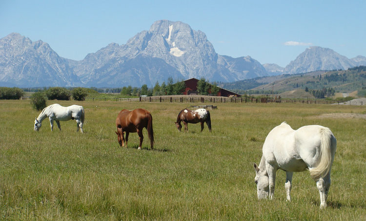 The Grand Teton