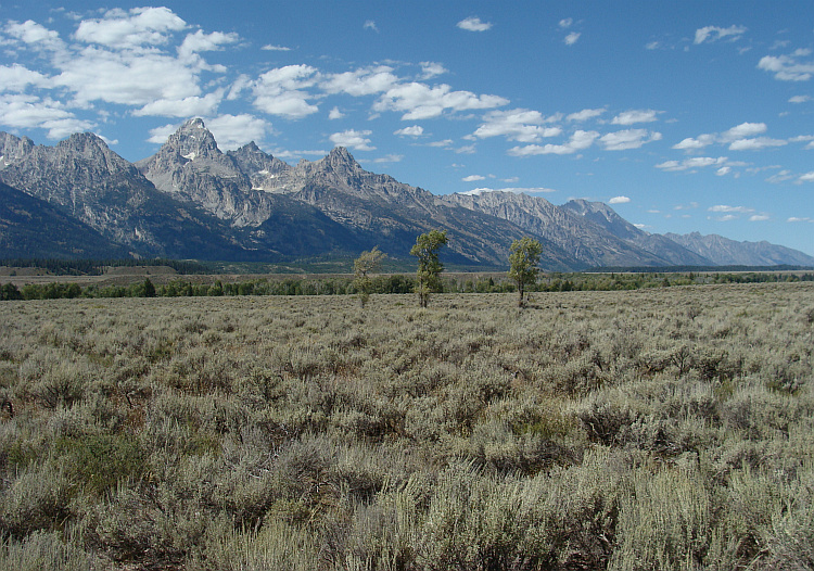 De Grand Teton