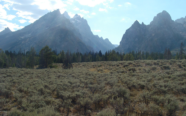 The Grand Teton