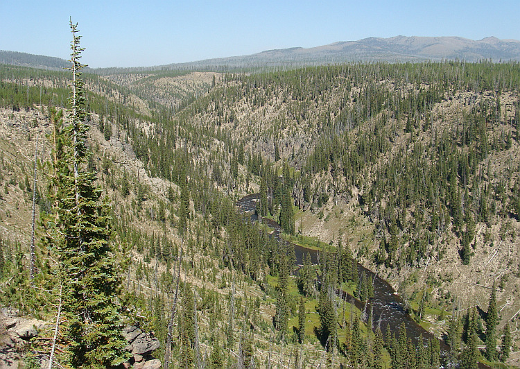 Yellowstone National Park