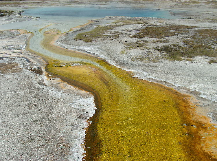 Yellowstone National Park