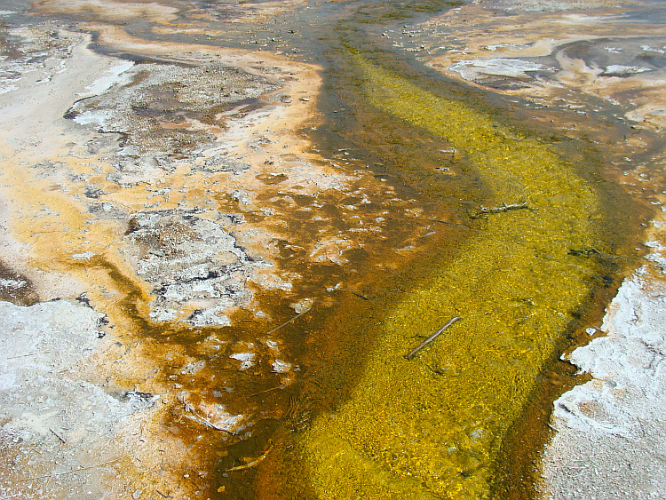 Yellowstone National Park