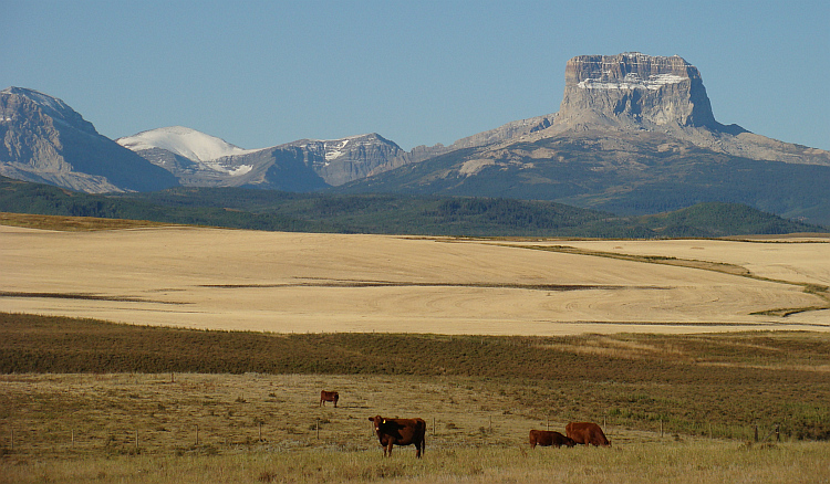 The Prairies and the Rockies near the American border