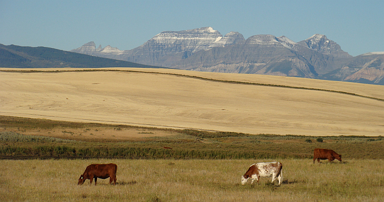 De Prairies en de Rockies bij de Amerikaanse grens