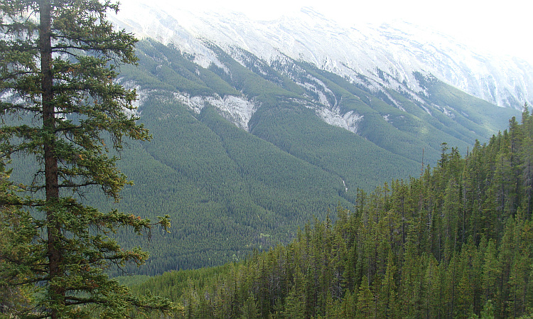 Berglandschap bij Banff