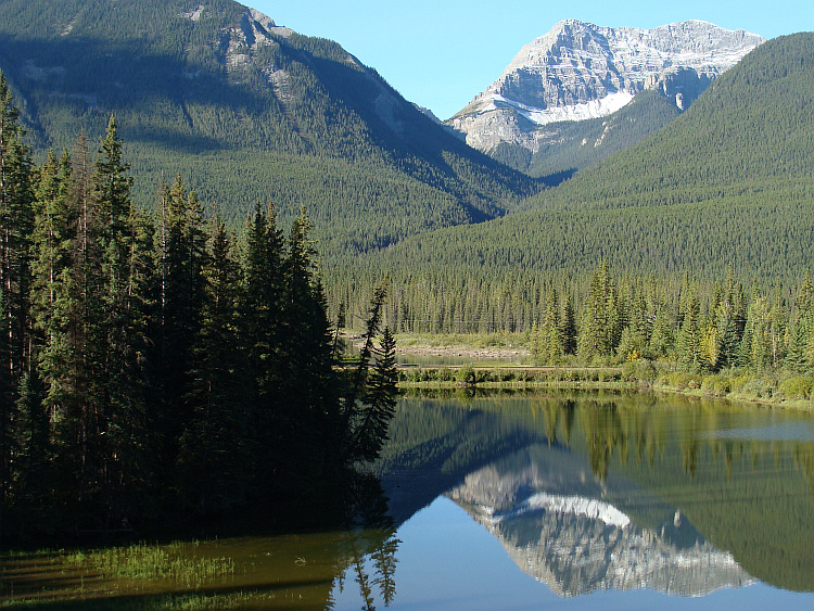 Landschap tussen Banff en Lake Louise