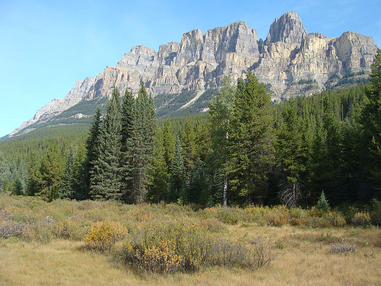 Landschap tussen Banff en Lake Louise