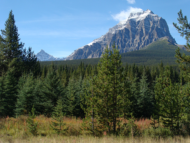 Landschap tussen Banff en Lake Louise