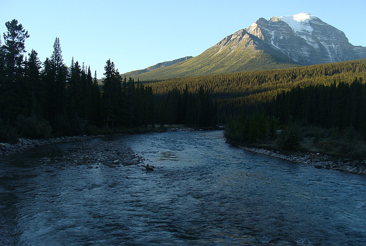 Landschap aan de Icefields Parkway