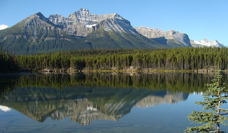 Landschap aan de Icefields Parkway