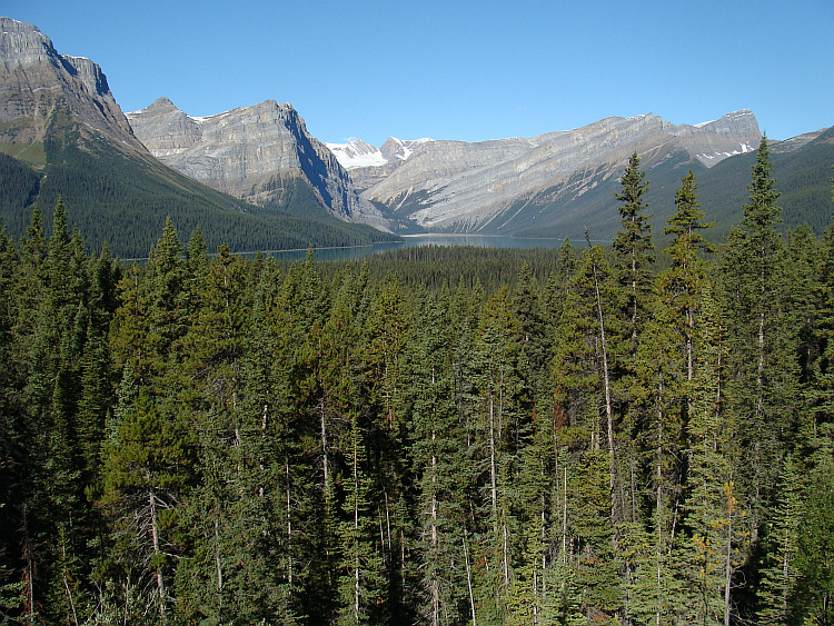 Landscape around the Icefields Parkway