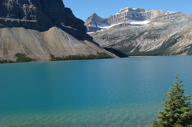 Landschap aan de Icefields Parkway