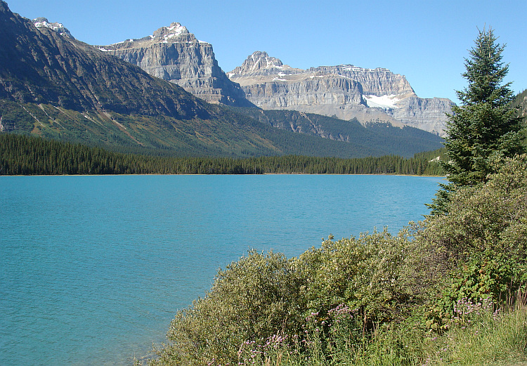 Landschap aan de Icefields Parkway