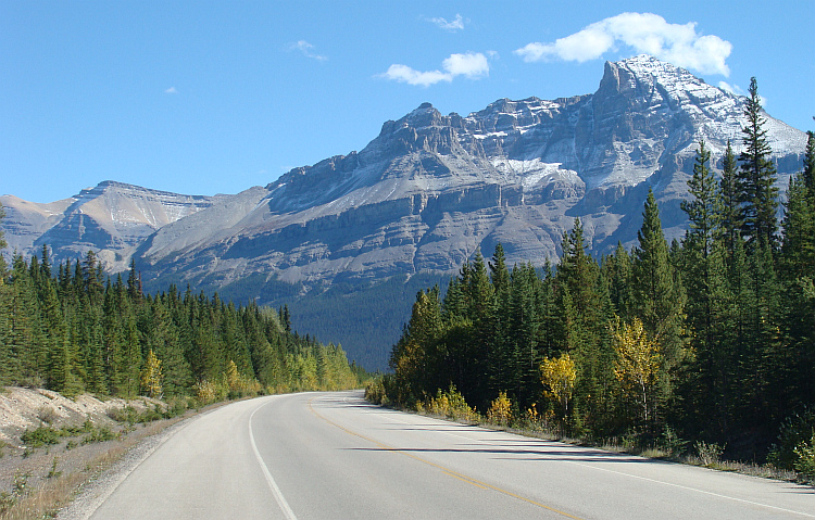 Landscape around the Icefields Parkway