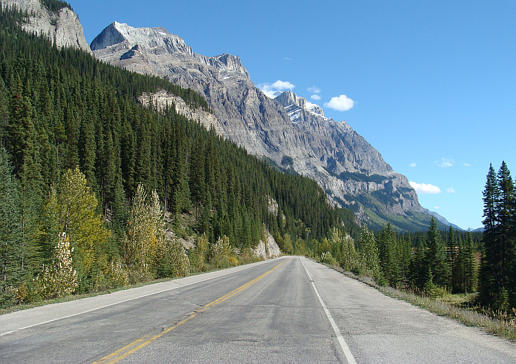 Landscape around the Icefields Parkway