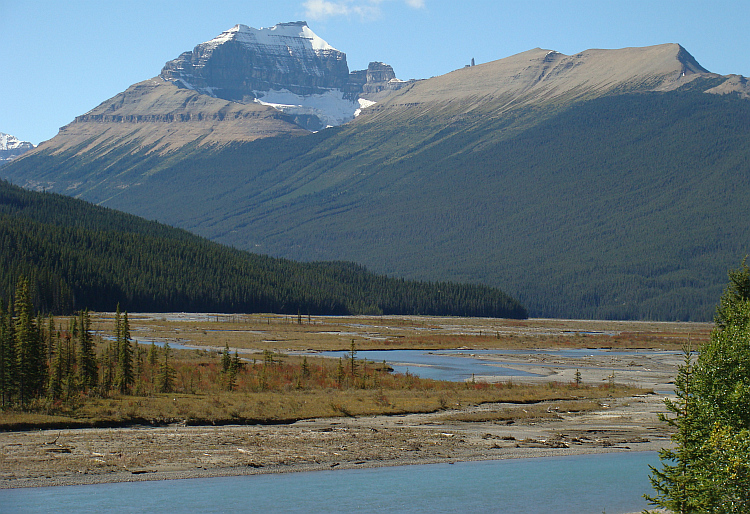 Landschap aan de Icefields Parkway