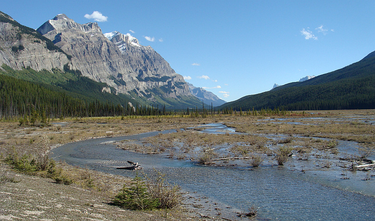 Landschap aan de Icefields Parkway