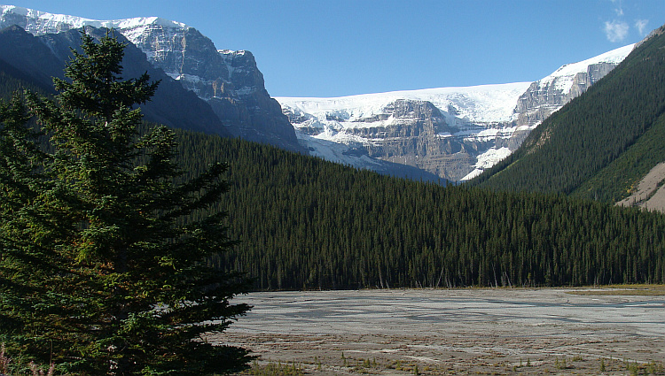 Landscape around the Icefields Parkway