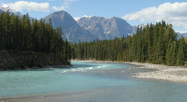 Landscape around the Icefields Parkway