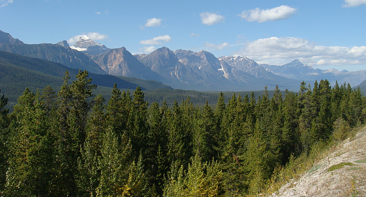 Landscape around the Icefields Parkway