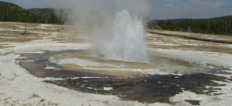 Yellowstone National Park