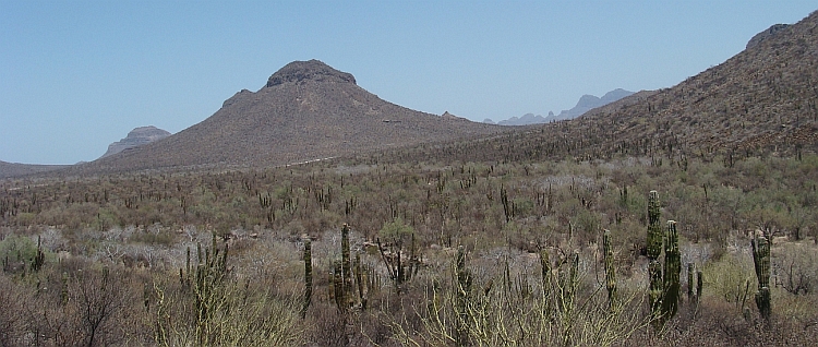 Baja California