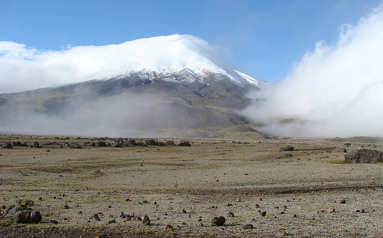 De páramo en de Vulkaan Cotopaxi