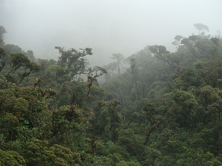 Rainy day. Near Loja