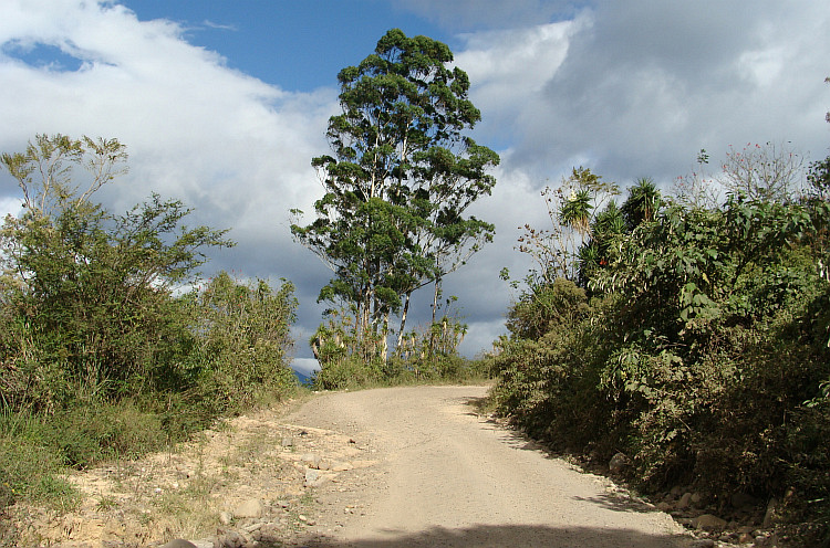 Tussen Loja en Macará