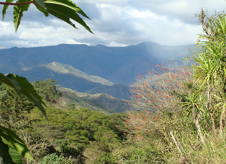 Between Loja and Macará