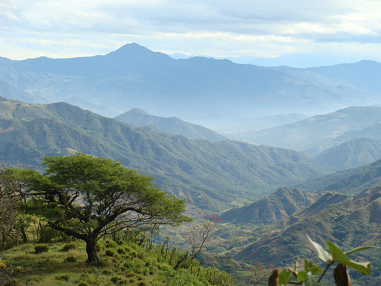 Tussen Loja en Macará