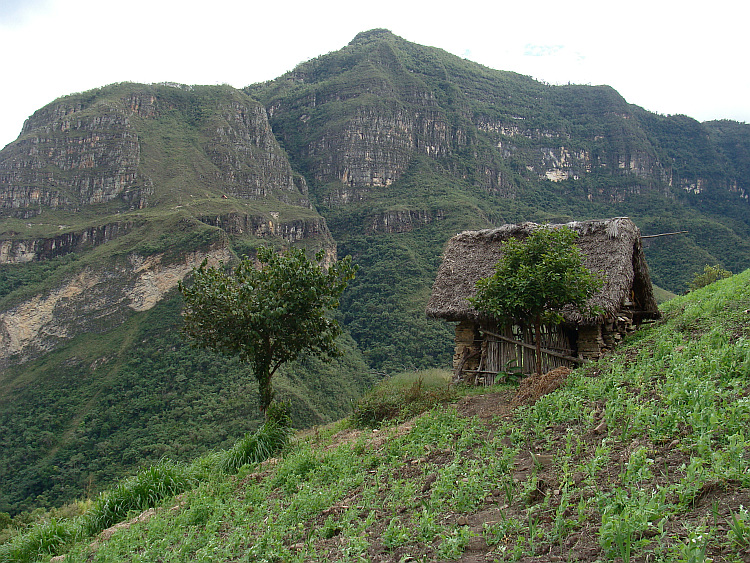 Traditional farmhouse in the cloud forests