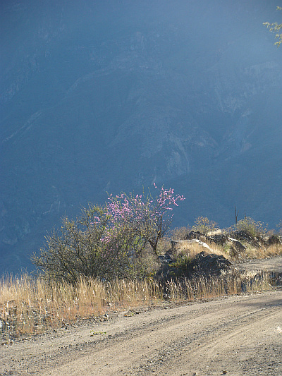 On the descent from the Calla Calla Pass