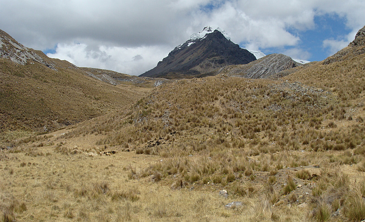 On the way to the Pastoruri Pass