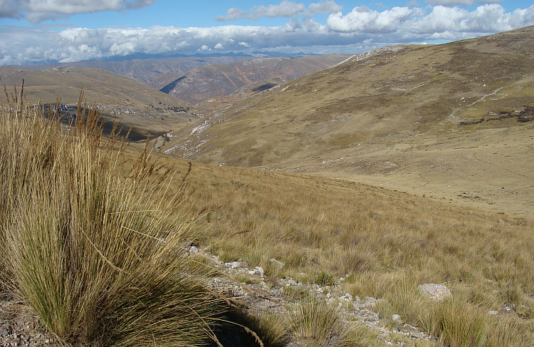 Puna landscape on the descent to Tarma