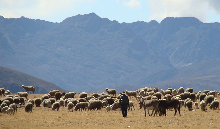 Landschap tussen Tarma en Jauja