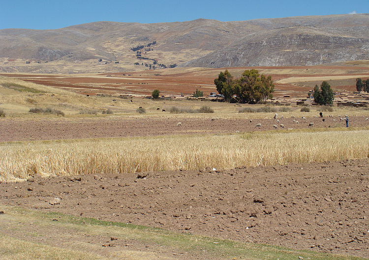 The rural landscape of Central Peru