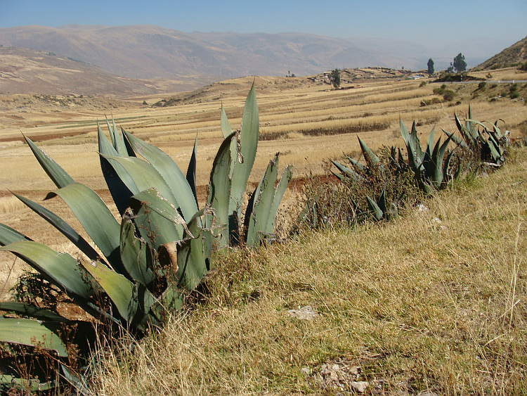 The rural landscape of Central Peru