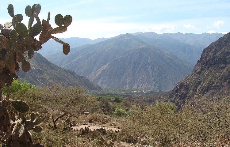 Landschap in de cordillera