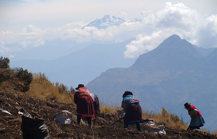 Paisanos of the highlands