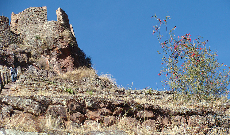 De Inca-site Pisac