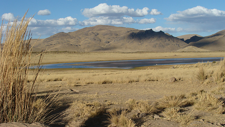 On the way from Yauri to Chivay