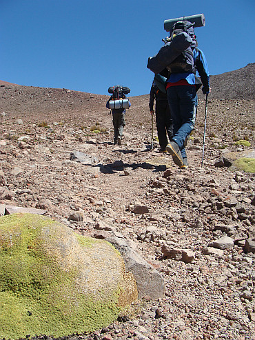 On the way to the campsite for the ascent of the Chachani