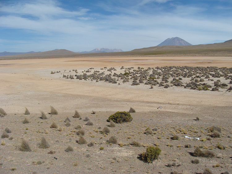 Hoogvlakte tussen Arequipa en Juliaca