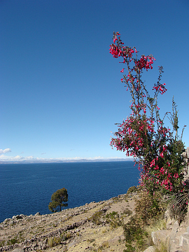 Lake Titicaca