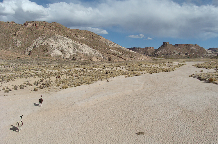 Tussen Patacamaya en Tambo Quemado