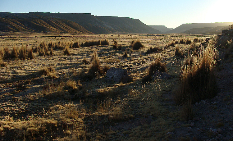 Campsite on the Altiplano